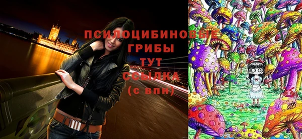 тгк Абаза