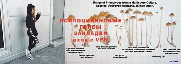 сатива Абинск