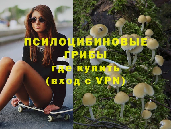 тгк Абаза