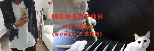 тгк Абаза