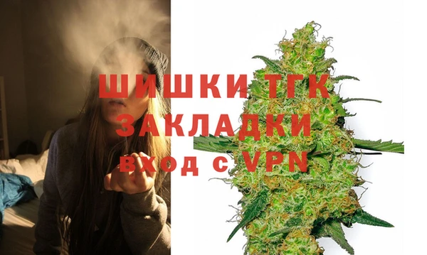 тгк Абаза