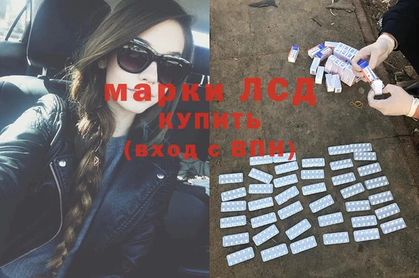 сатива Абинск