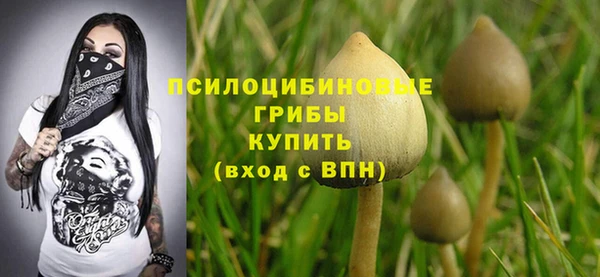 сатива Абинск