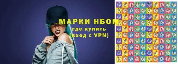 сатива Абинск