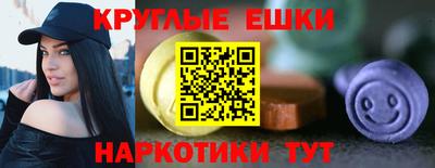 сатива Моздок