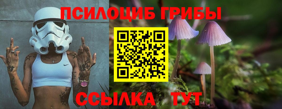 Электросталь  Псилоцибиновые грибы прущие грибы  Вход с VPN  Галлюциногенные грибы Psilocybe 